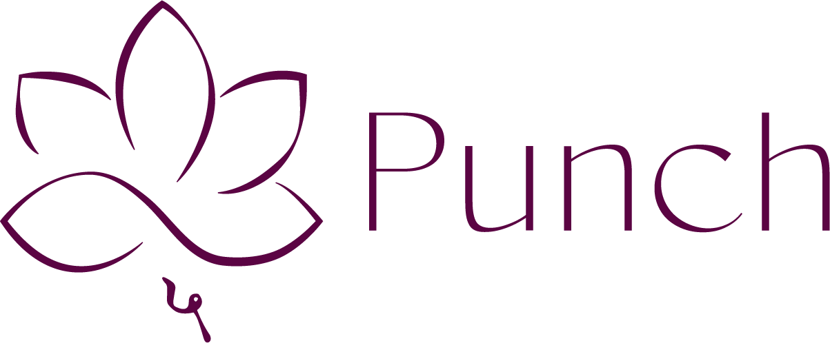 Punch Billing Platform Mobixone ZA